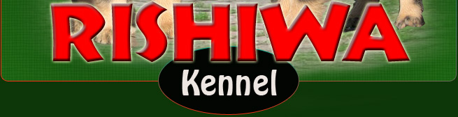 Kennel Rishiwa - Enter - Sisene